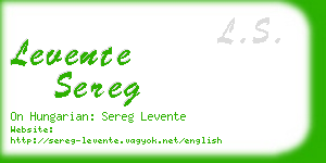 levente sereg business card